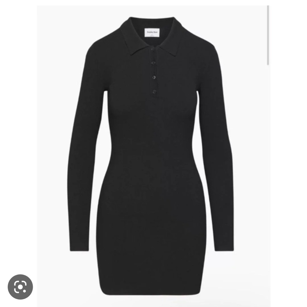 Aritzia Sundays Best Polo Dress